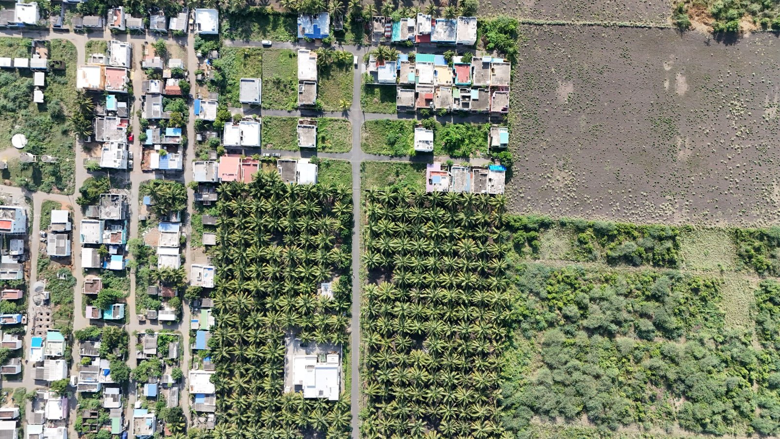 DJI_20250610084430_0193_D scaled