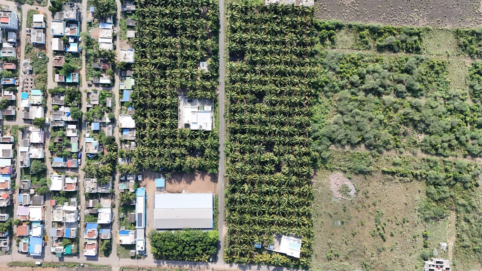 DJI_20250610084438_0194_D scaled