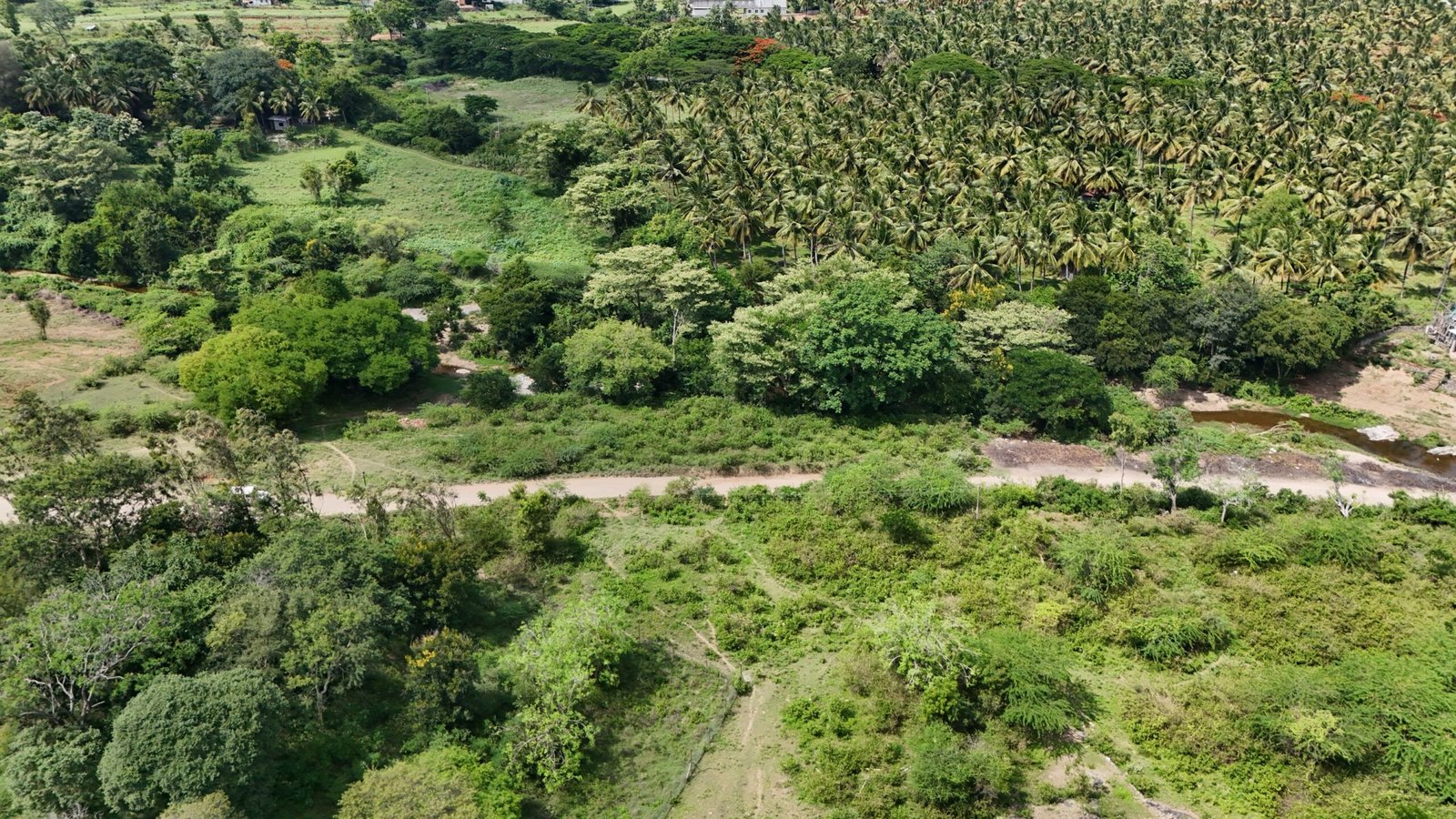 DJI_20250610101640_0215_D scaled