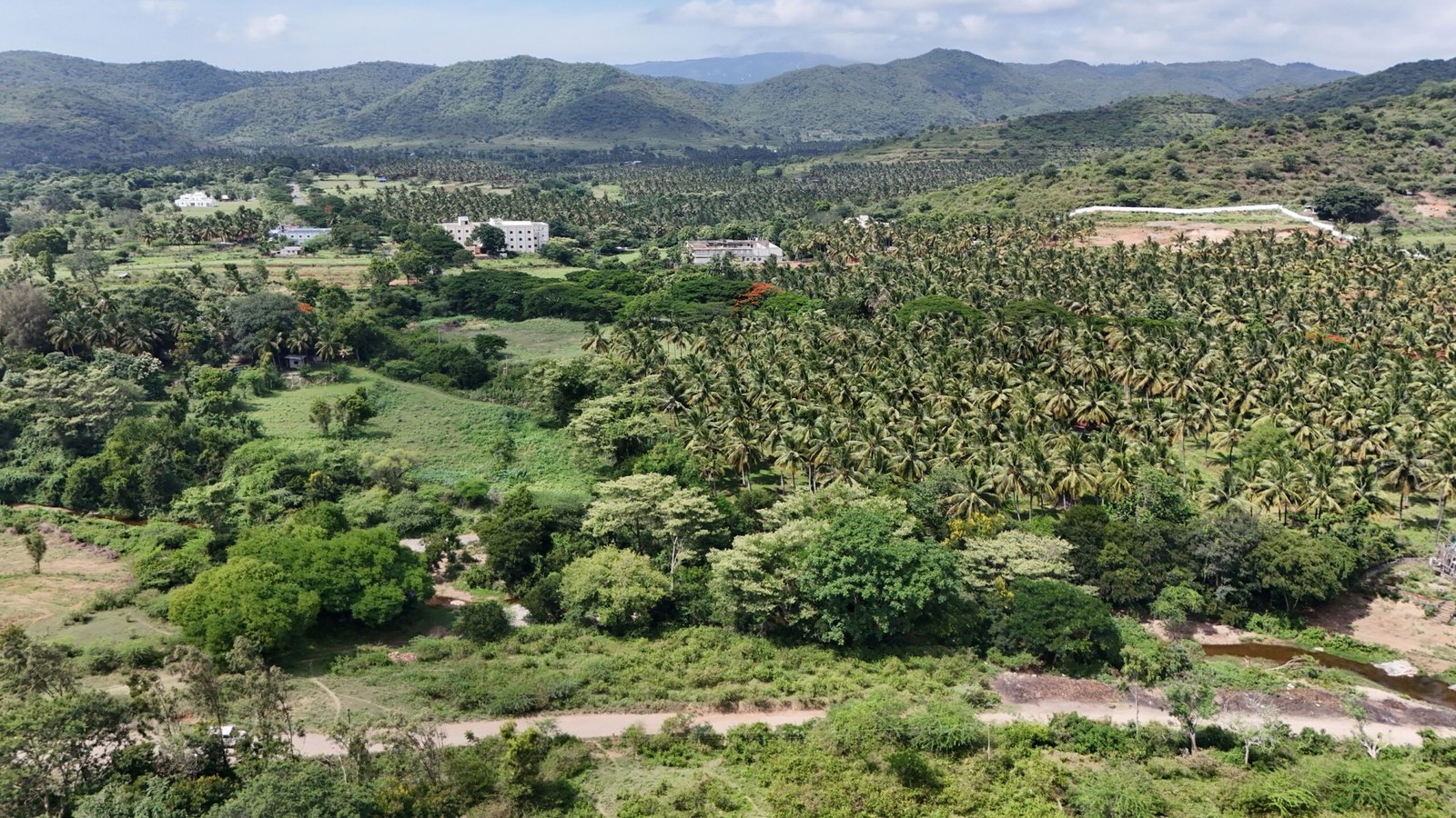 DJI_20250610101643_0216_D scaled